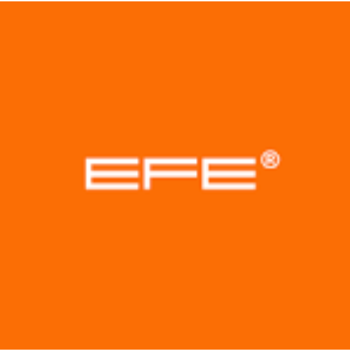 EFE Glasses Logo